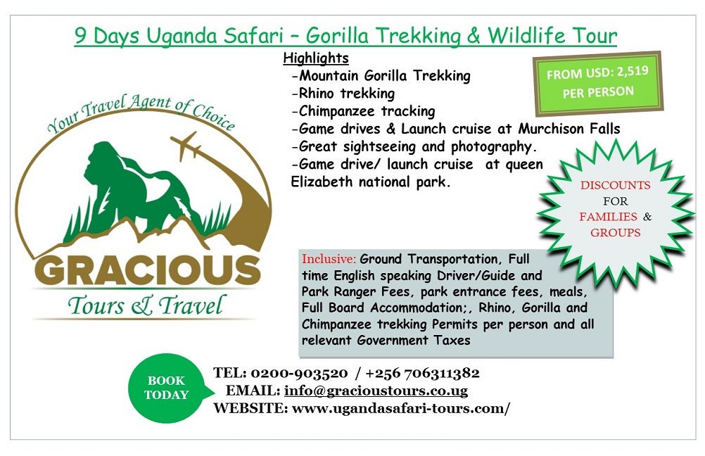gracious_tours's tweet photo. @Trekking https://t.co/mtmZ9QaIu7