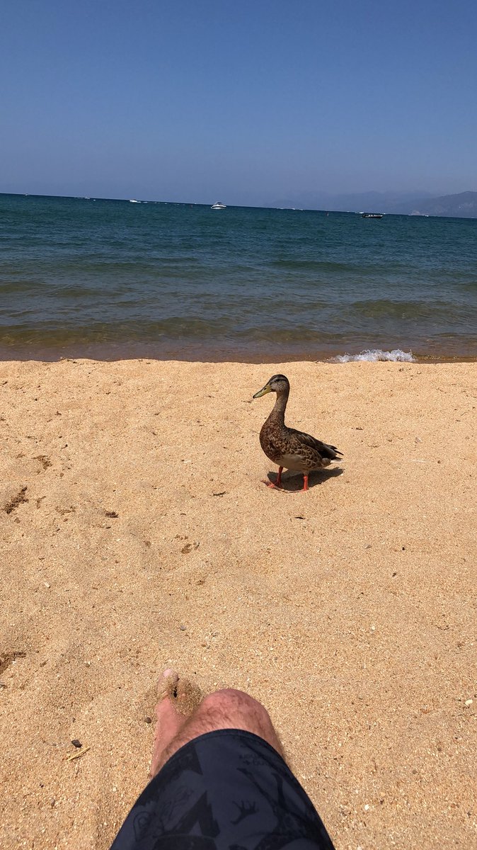 Ramby05's tweet image. 77* degrees and breezy #Tahoe #Tahome #LakeTahoe #JusLiv