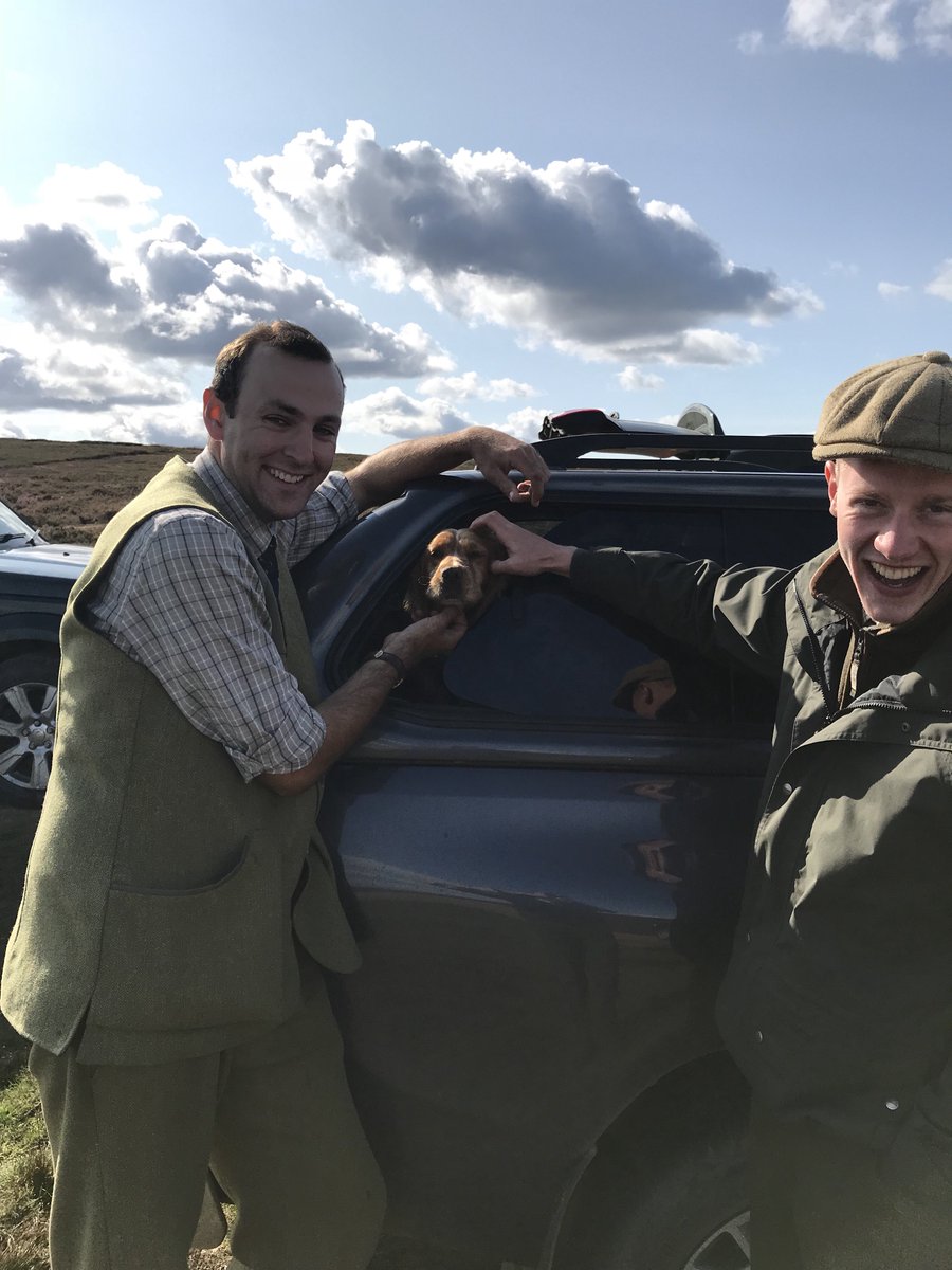 AdamCalvert1's tweet photo. This dog is a future grouse legend.....called....Ricky.....these 2 were found try to steal him! #calvertsporting #calvertsportinganywhereanytimeanyplace #calvertsportingjediclub #calvertsportingteam #cockerspaniel #cockers https://t.co/jNgsxhbHJZ