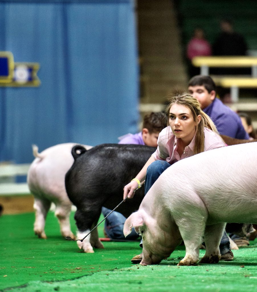 Gage Skelton (skelton_farms) Twitter