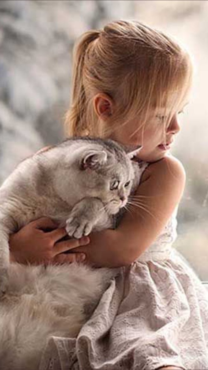 NorelkyF16's tweet photo. @done6739001 @Violet_Isak @mariselapa1 @SoyAndrea20 @ESTR3LLA_ @lily44636038 @ayachanmaru1 @nami_3535 @NafethAbo @Roxieli5 @franda26 @Fatima1910 @Sofi89M @elsa0ca Felíz fin de Semana... Gracias ❤...!!! 🌹🐴 https://t.co/cYkGaHG3wN