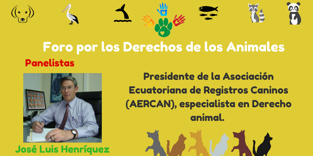 AnimalGP's tweet photo. José Luis Henríquez, presidente de #AERCAN, prepara su ponencia para el Foro por los Derechos de los Animales, este martes 28 de agosto a las 17h00 en la @AsambleaEcuador. No faltes‼️#DerechoAnimal
✅Inscríbete gratis en: derechoanimalecuador@gmail.com https://t.co/Bgh9xk4nzv