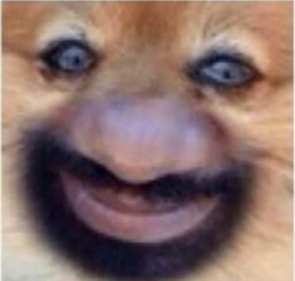 「£」AHHHDAB

KISHIKOS SISTER IS UP AND READY SHA!

-----> <a href="/MizushimaNoHi/">水島・Ｎａｔｓｕｍｉ・春</a>