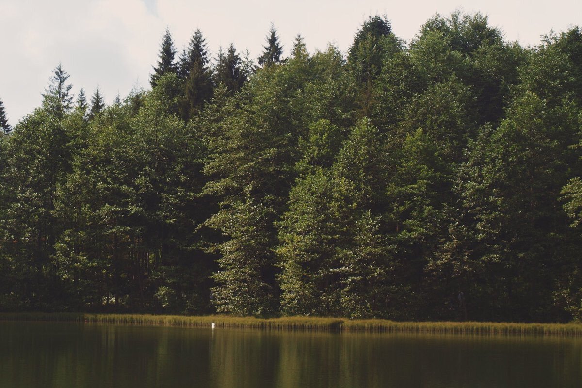 AnnWorldCitizen's tweet photo. Admiring the nature right now😌🍃🌾🌿🍂 https://t.co/6UMcRTaZkG
