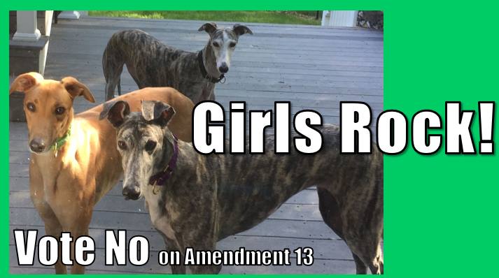 jato791's tweet photo. Girls rock! It’s 100% MERIT! Greyhound girls race against boys, WIN & R CHAMPS w/o any help – the way it ought to be. Best of all, when they no longer want to win, every #Greyhound enjoys a 100% adoption rate – the best of any breed. Why jeopardize a good thing? #VoteNoOnFL13 https://t.co/V66OOnn0Pb