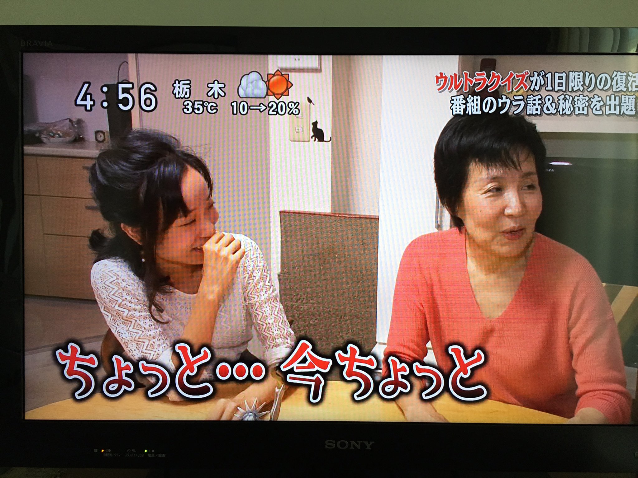 関谷裕明 上田由美さんがジュンさんと別居中であることを容赦なくばらす娘 真由夏さんw 先日お母さんについてツイートされていましたね T Co Rglwabnm8t