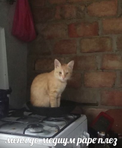 Dleyq1RXcAAotCe?format=jpg&name=small