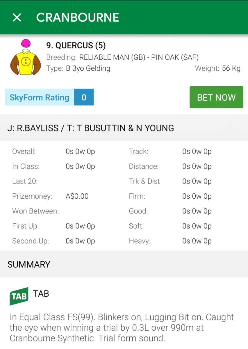 thebretto's tweet photo. First starter as a racehorse owner today... GL Quercus @busuttin @Reganbayliss
#reliableman
#cranbourne
#firststarter https://t.co/Zy0ELQ5rfR