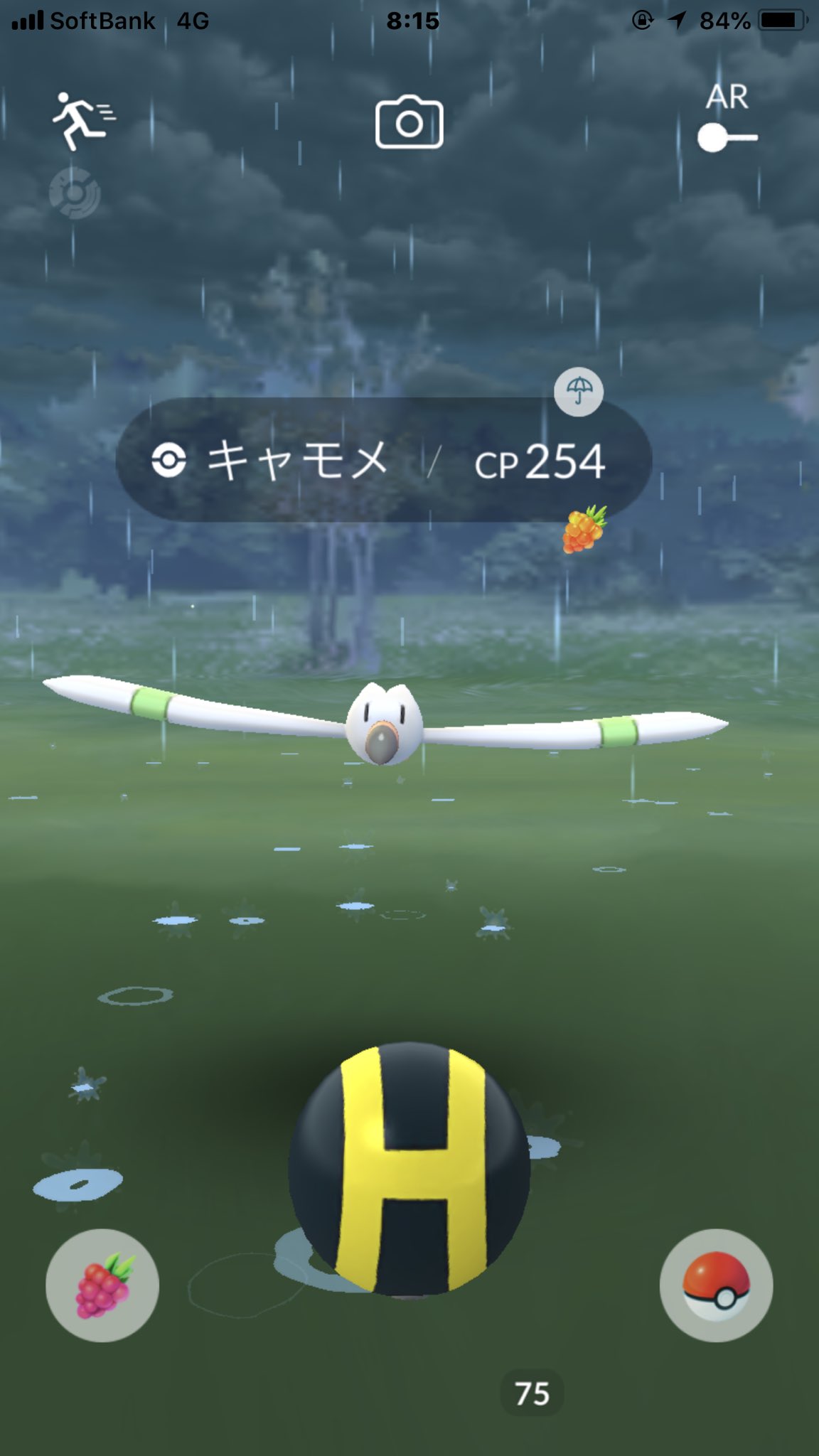 ポケモンgo キャモメ色違い登場 一般開放は横須賀イベント開始から