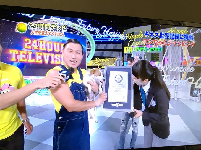 24時間テレビ ギネス挑戦のオードリー春日が犬の大福ちゃんを誤って蹴り飛ばす 大福ちゃんに同情の声 まとめダネ 24時間テレビ ギネス挑戦のオードリー春日が犬の大福ちゃんを誤って蹴り飛ばす 大福ちゃんに同情の声 まとめダネ