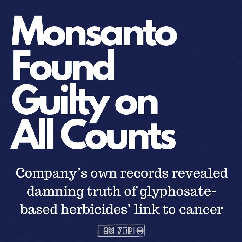 ORRightToKnow's tweet image. ICYMI: In this one case, through the suffering of one man, Monsanto’s secretive strategies have been laid bare for the world to see. Monsanto was undone by the words of its own own scientists... ow.ly/5fyw30ltxru #Monsanto #glyphosate #Roundup #health
