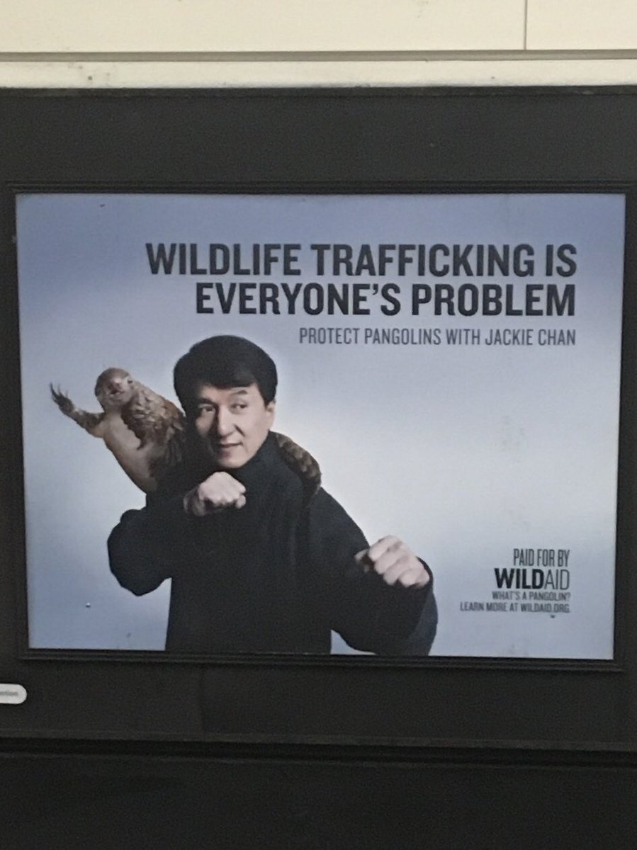 BioDiversitySC's tweet photo. I was excited to see WildAid posters in a BART station. WildAid uses celebrities to change consumers’ attitudes and behaviors of buying endangered animal products. Pangolins are the most illegally traded wild mammals on the planet. #conservationbioUSF https://t.co/Rf0KEpebTw