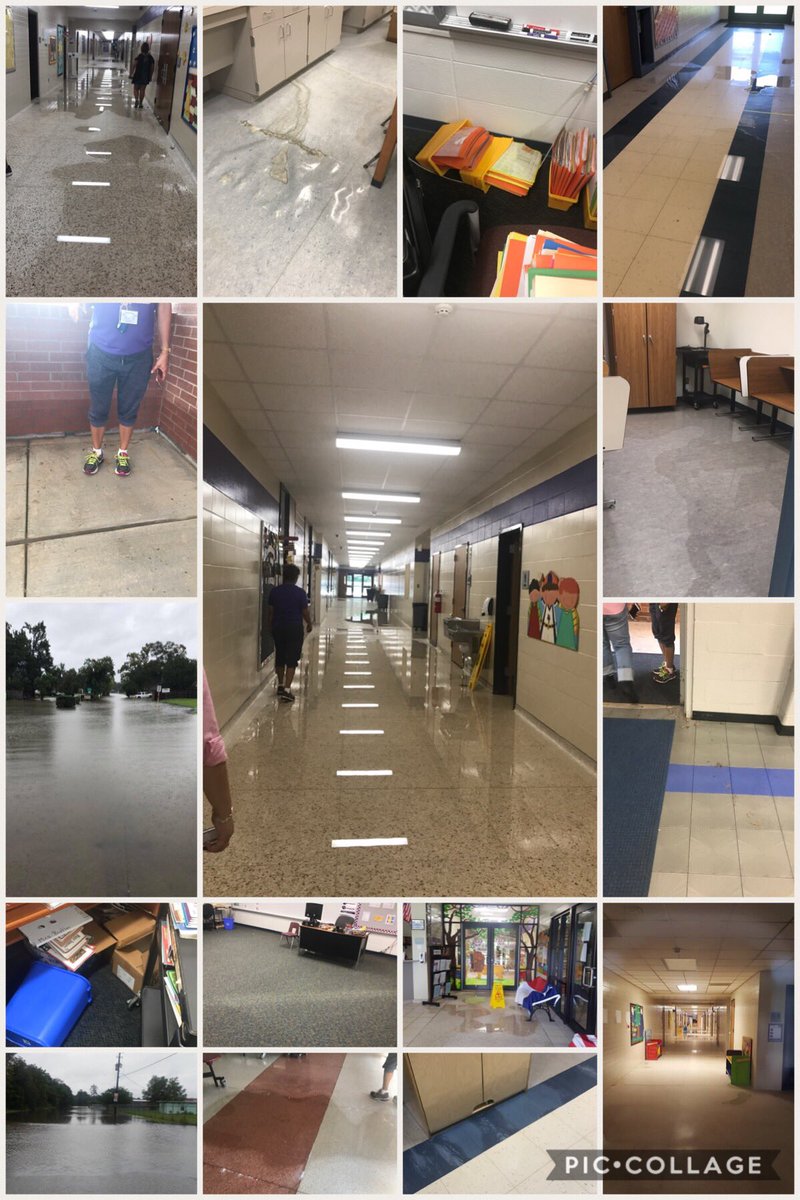 RWmiss_AVID's tweet photo. I love my Royalwood Family💜@RoyalwoodLions @SheldonISD #SheldonStrong #5Distinctions😉 https://t.co/len08AzHQw