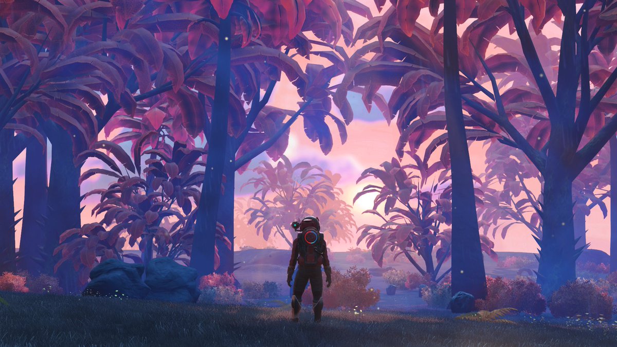 BAMbam757Gaming's tweet photo. Seek and ye shall find.
#NoMansSky is Amazing #NoMansSkyNEXT @hellogames @NoMansPics @NoMansSmile #PS4share https://t.co/27LdhSLo5r