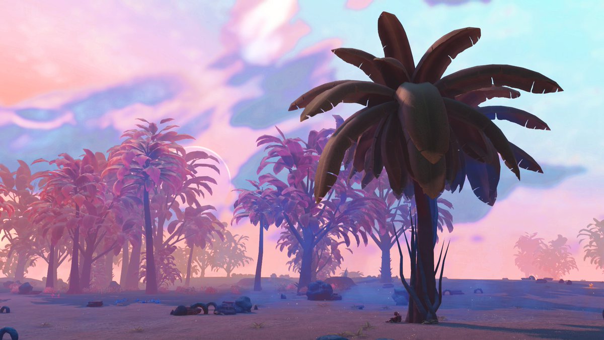 BAMbam757Gaming's tweet photo. Seek and ye shall find.
#NoMansSky is Amazing #NoMansSkyNEXT @hellogames @NoMansPics @NoMansSmile #PS4share https://t.co/27LdhSLo5r