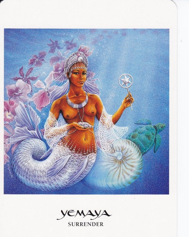 2MysticMoons 🌙🌙 tweet media