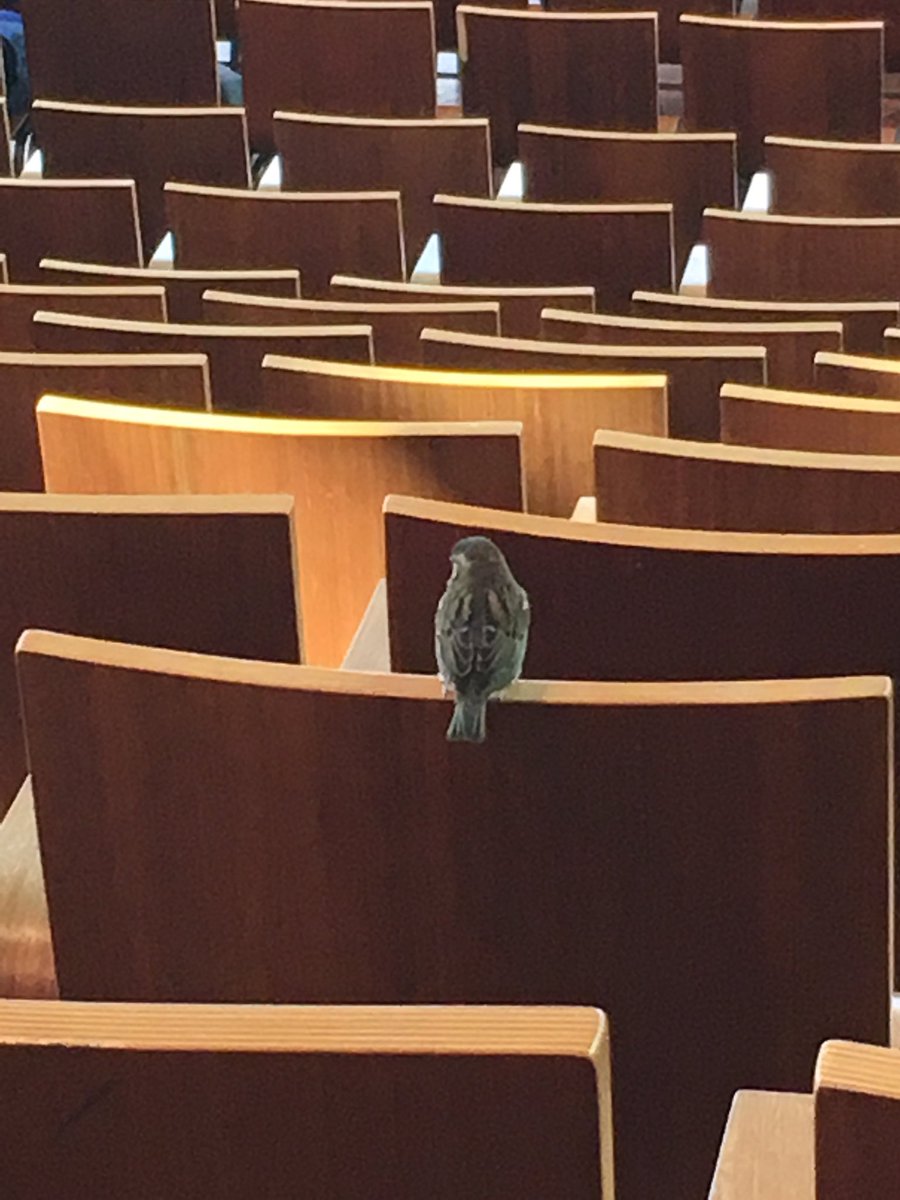 jasonfsteger's tweet image. Patiently waiting for another day at #MWF18