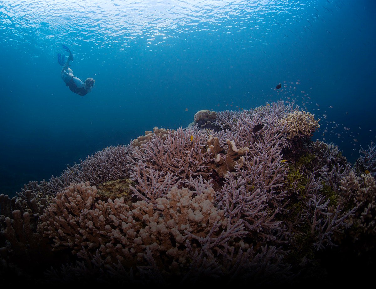 Oceans Deeply tweet media
