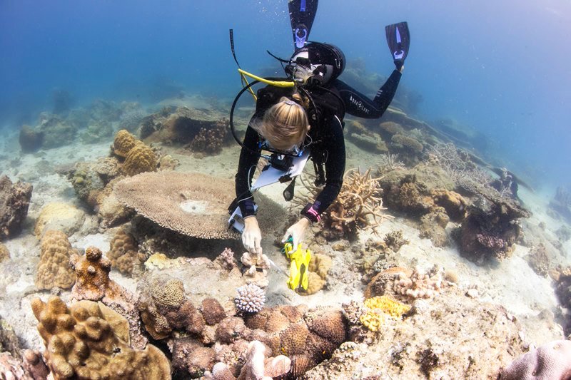 Oceans Deeply tweet media