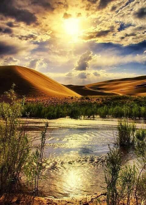 <a href="/MartaAvendao/">Marta Avendaño 🍃🌸</a> <a href="/carvalheucilene/">eucilenecarvalho</a> <a href="/marinagarzon5/">marina Garzon</a> <a href="/IsabelPerez1232/">💦Isabel Perez 💦</a> <a href="/CanoEscalo/">CONSUELO</a> @Natali122550 <a href="/mainzina/">Elizabeth</a> <a href="/purpuracocaes1/"><a href="/purpuracocaes/">#Colombia</a></a> <a href="/IzabelleCova/">🌺 Iza 💦</a> <a href="/TuTulsa/">tulsa</a> @purpuracocaes <a href="/Sadeem17381503/">Sadeem</a> <a href="/sushilpershad/">sushil ??</a> @AnaErleneNM <a href="/AslamCh61/">Aslam Chaudhary</a> <a href="/elsufuen/">Susana Fuentes</a> <a href="/zerok_z/">Asi ♡</a> <a href="/eoff_sylvia/">Sylvia</a> <a href="/politicalnaveen/">Navin🌟</a> <a href="/angelicagallegs/">🇧🇷 ♫J.Angelica G. Gallegos♫🇧🇷</a> <a href="/PolakPotrafi333/">Polak Potrafi</a> @Chandra1Vinod <a href="/SimplesmenteSyl/">💄💋🍓SYL🍒👠🍷</a> <a href="/Lee888123/">Lee</a> @VeaMiAlma <a href="/monicasloves/">Monica Cates</a> <a href="/s0ranek07/">蒼♡AO♡💙</a> @LnVdOBLlgCoKvn9 <a href="/Cesuryorum/">Cüneyt Şaşmaz🇹🇷</a> <a href="/ArshadKhanKhat5/">Arshad Khan Khattak</a> <a href="/S123456789a3/">S123456789a</a> <a href="/nabilhasan48/">حسن العراقي</a> <a href="/WalterHomeroPe4/">Walter Homero Perez</a> <a href="/IsmailShihan/">Ismail Shihan</a> <a href="/castelobrw/">Ing. Cesar I Castelo</a> <a href="/LatofaOb/">👑❤Latifa❤👑</a> <a href="/AboHamedo/">أبو حميدو</a> <a href="/elbiba_5/">elbiba ali𓂃♡</a> <a href="/DebbieZimmer54/">Debbie</a> <a href="/WaringJudy/">Judy Waring</a> <a href="/lilitaprofesion/">liliana garcia</a> <a href="/RoshanDua/">Roshan Dua @9953331066</a> <a href="/PRiengmond/">pisamai riengmond</a> <a href="/GreyAki/">Lettycia</a> <a href="/daytonacharger/">TJ Smith</a> <a href="/LOYALFAN1/">DONNA CARRIERE</a> <a href="/LupitaCampos13/">Lupita Campos</a> @avlis46 <a href="/Carestina1/">Carestina</a>