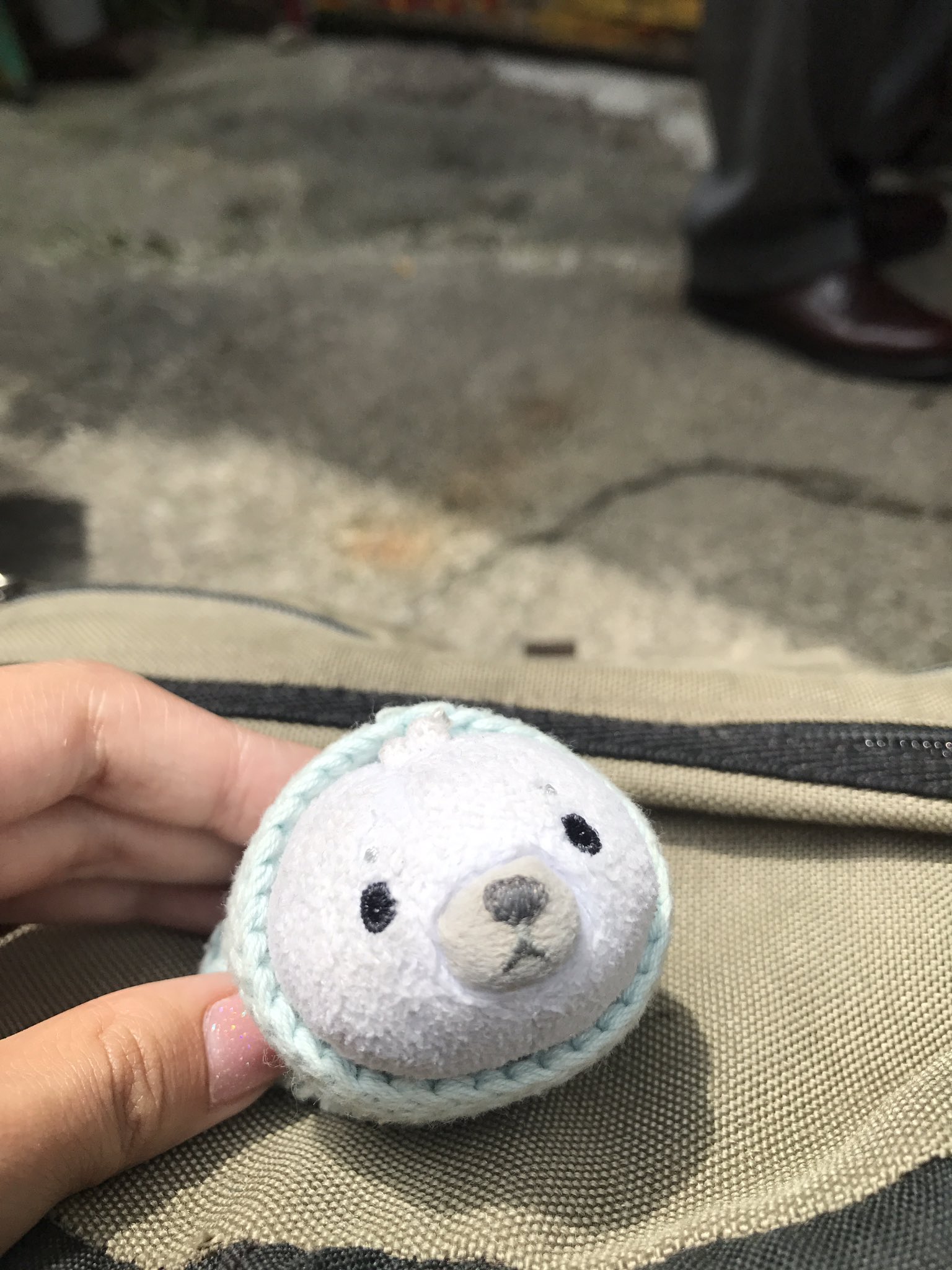 探しています ぷん太 あざらしのマスコット Pun8067 Twitter