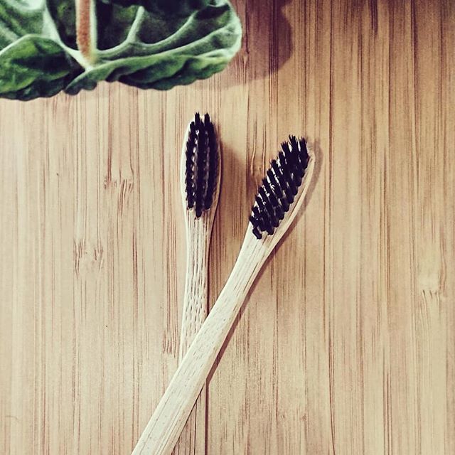 acquireperfect's tweet photo. Plastic free - Planet-loving toothbrush, charcoal infused medium bristle and 100% biodegradable

This toothbrush is made to last the same a a regular toothbrush (2-3 months). When it is time to replace simply place the toothbrush in the soil and return i… https://t.co/dfG5MyOD80 https://t.co/7wKUNJoOZJ