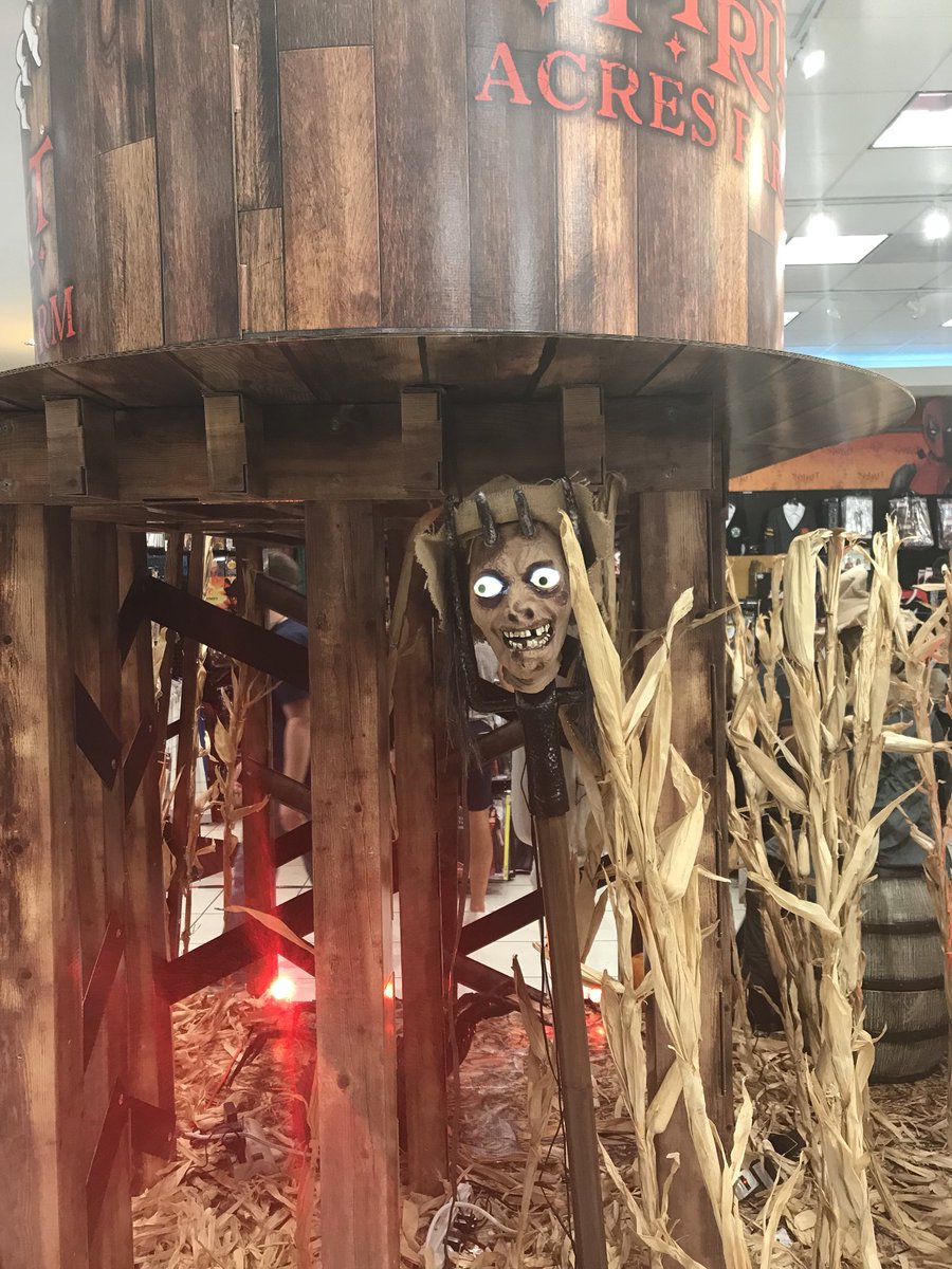 Konzernabschlüsse in