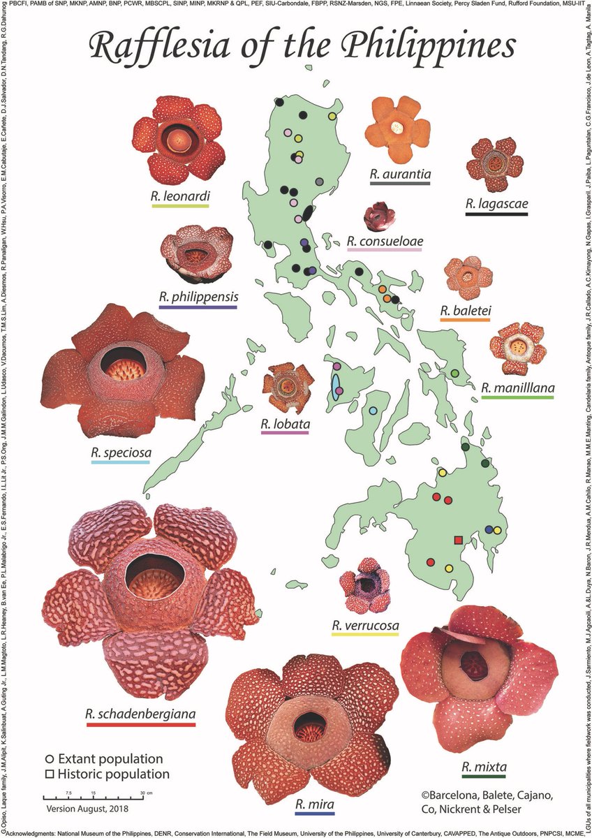 the physics of fullerene based and fullerene