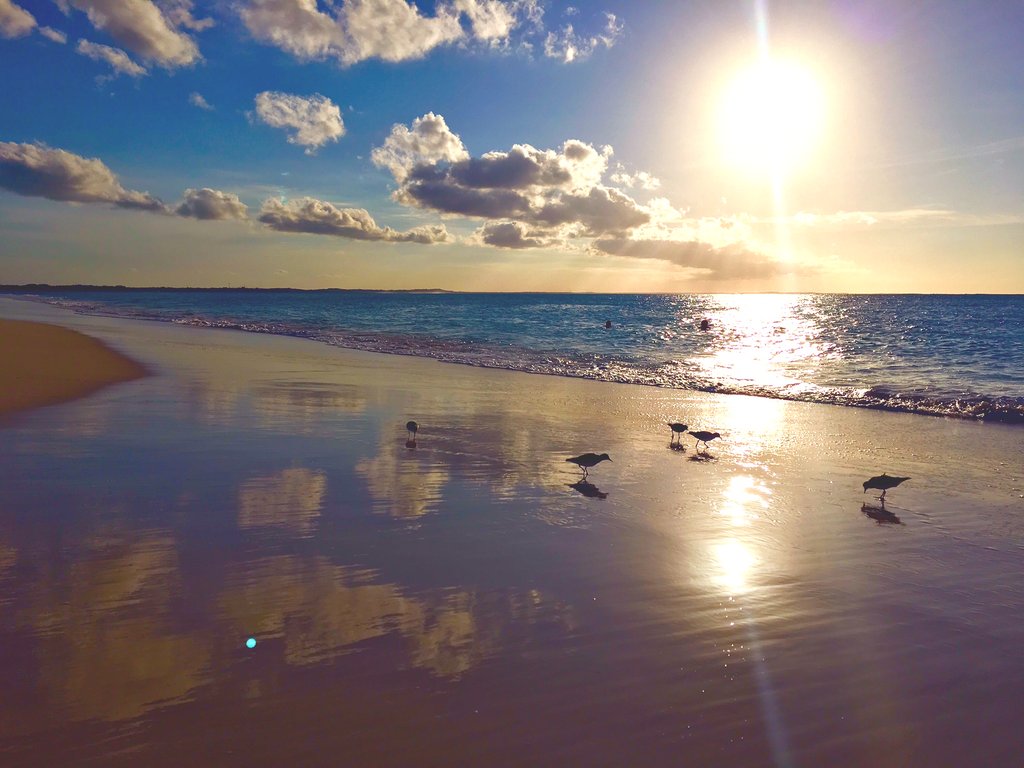 How are you spending your weekend? #beach #caribbean #tci #turks #caicos #providenciales