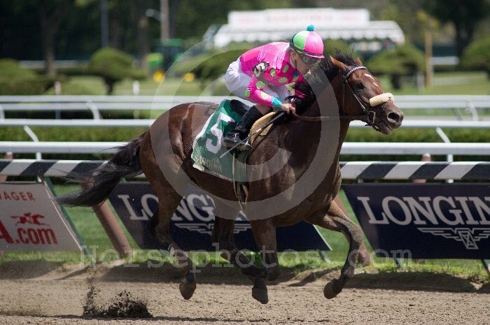 torijada6's tweet image. Happy travers day!!!!! Smartie was wishing he was running again today, but then again is happy to be eating carrots and apples instead 😂 #2015travers #smarttransition #ottb