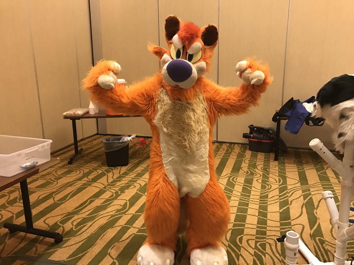 Punk_Hound's tweet photo. GUYS IM WEARINF @DibsDingo WHATS HAPPENING @faunited https://t.co/2BJHbMVJq5