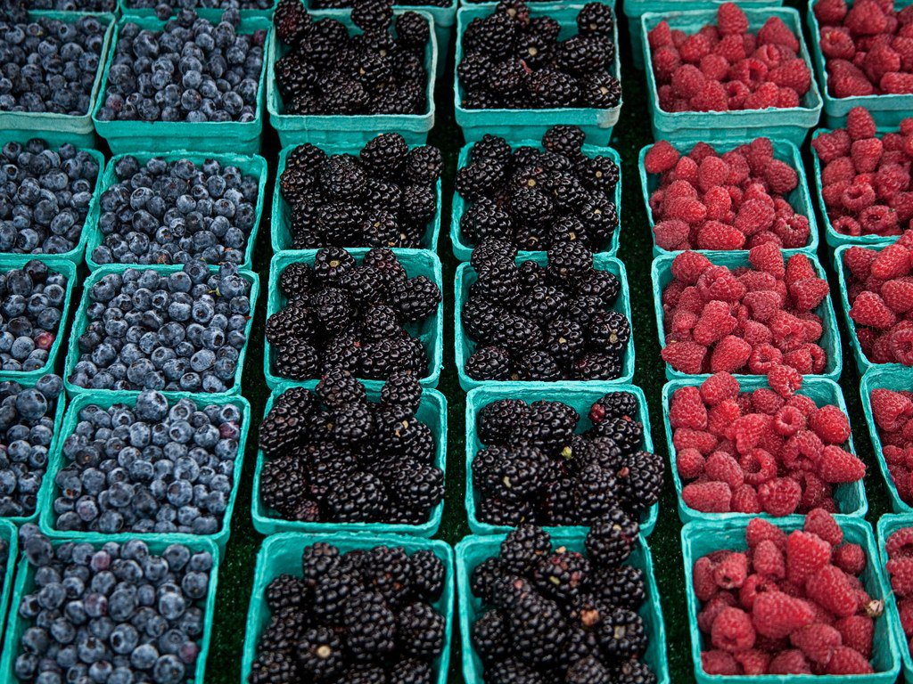 CNTraveler's tweet image. Want to avoid jet lag? Try eating these foods cntrvlr.co/0wlt3qz