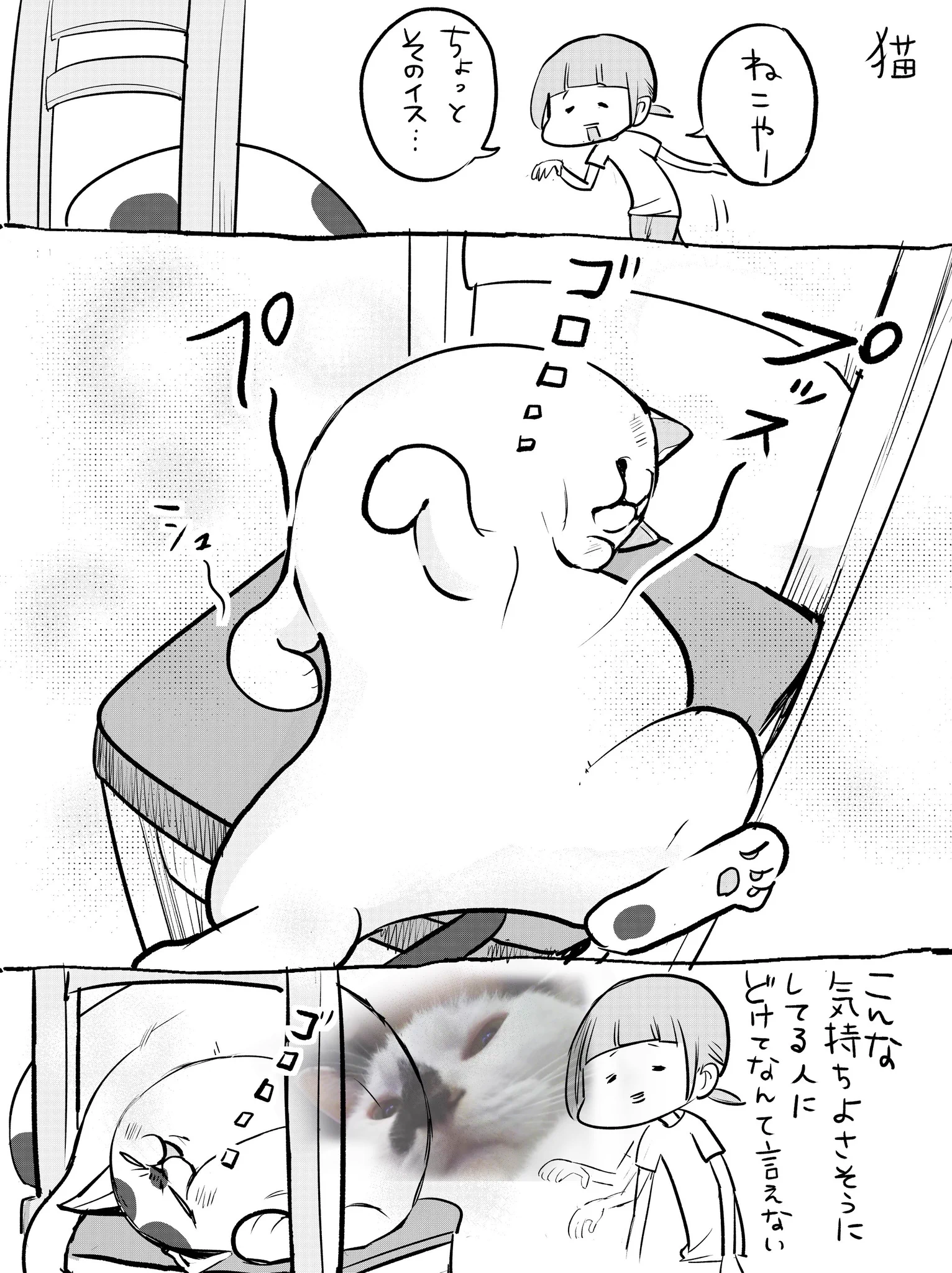 どっちも可愛くていい！犬と猫とのいす取りゲームが微笑ましいｗｗｗ