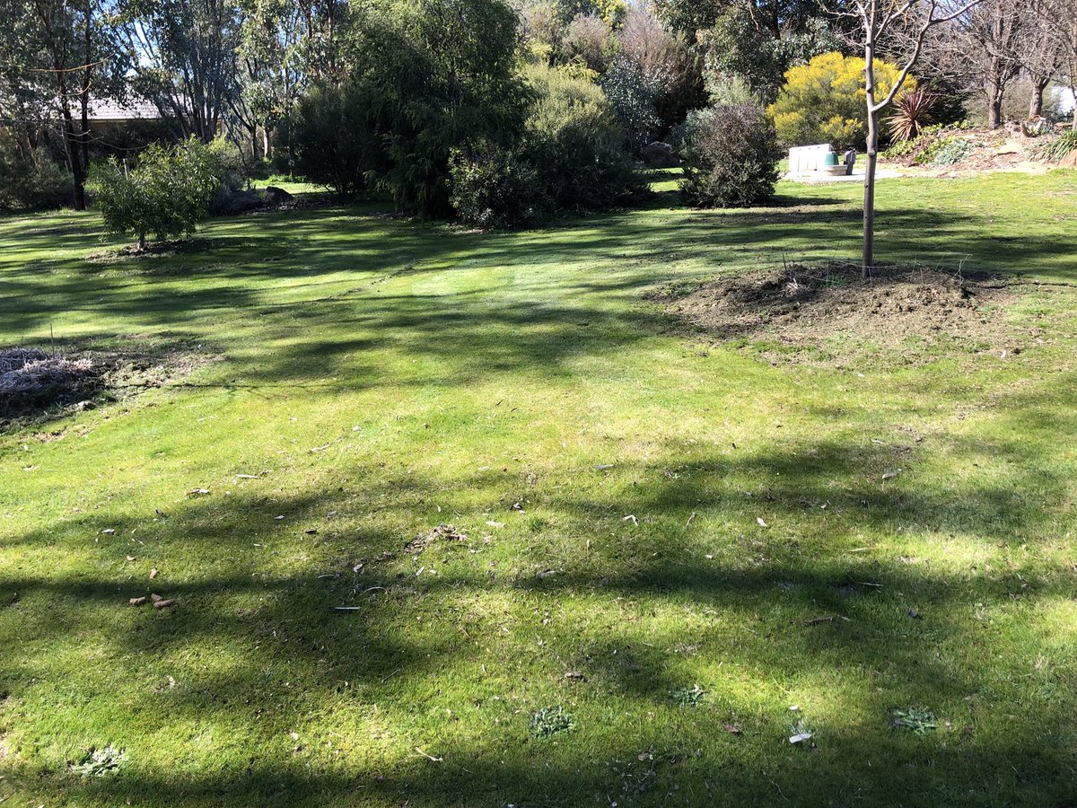 PTFlanagan's tweet image. Gorgeous day in the garden.
#springsoon