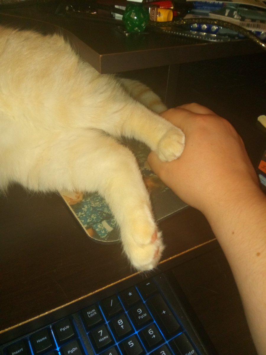 WatsonGoodKitty's tweet photo. This is how I get my Person to stop playing Minecraft and pay attention to me. https://t.co/RjR3VS1jtl