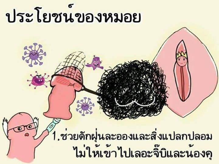 FontLP504's tweet photo. รุ้ไว้!! ไม่เสียหาย💋 https://t.co/mPMpPnBrar