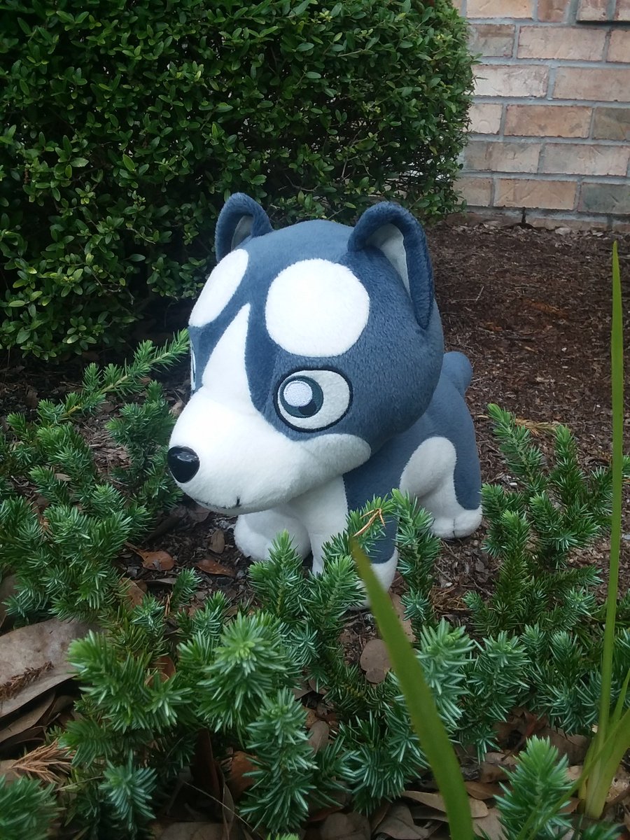 DunkinTheWolf's tweet photo. Just a Puppy on an adventure ~
#Ginga, #Gingaplush, #GDW, #GingaDensetsuWeed, #Plushies, https://t.co/3OJfABB2Dk