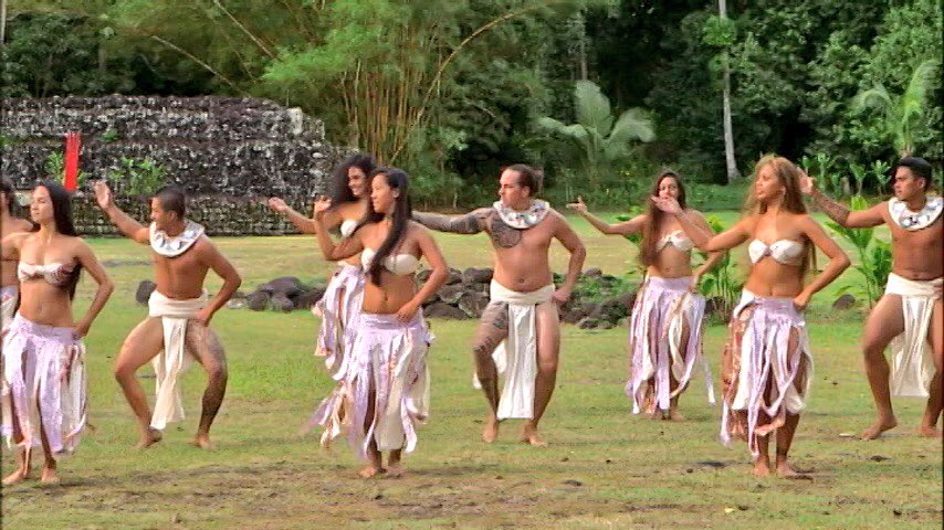 【2頭ペア】パピリオ・インドラ（ネバダ州/アメリカ） タヒチアンダンスは、ハワイのフラダンスの原型と言われます。タヒチの