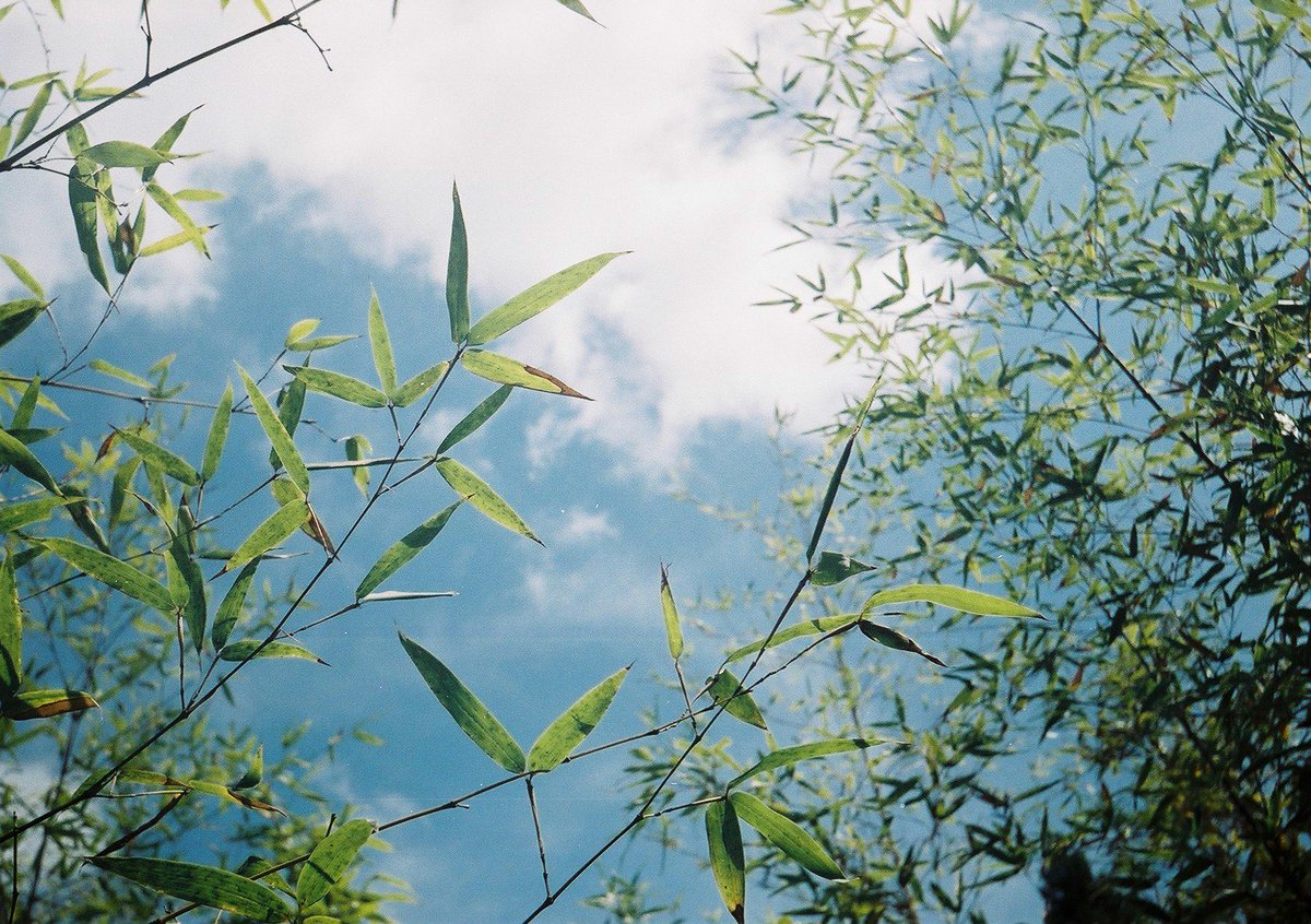rariikey_photo's tweet photo. 🐊私のカメラ⑤
トイカメラにはまり、本当はLOMOのLc-aが欲しかったけど高くて手が出せず😂
探してたら昔のLOMOさん発見👀
スメハチと悩んだ結果こちらを入手。はい、スキィ😍笑
スメハチも欲しいかもぅ😚
#LOMO #CMEHA #CMEHA35 #スメナ35 https://t.co/SC3TjsEBxc
