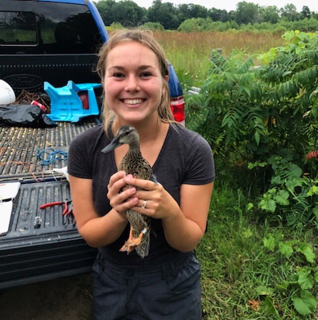 HiebertMegan's tweet photo. Wood duck + blue-winged teal + green-winged teal = smiles #ducksfordays #duckbanding #banding #ducks #birdbanding #woodduck #teal https://t.co/bwIjotmPtJ