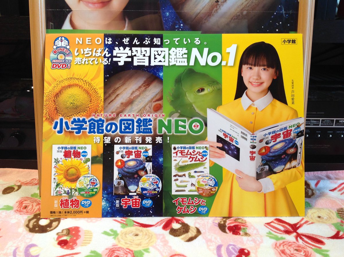まだ持っていなかった図鑑NEOのポップボートをやっと手に入れてたぶん