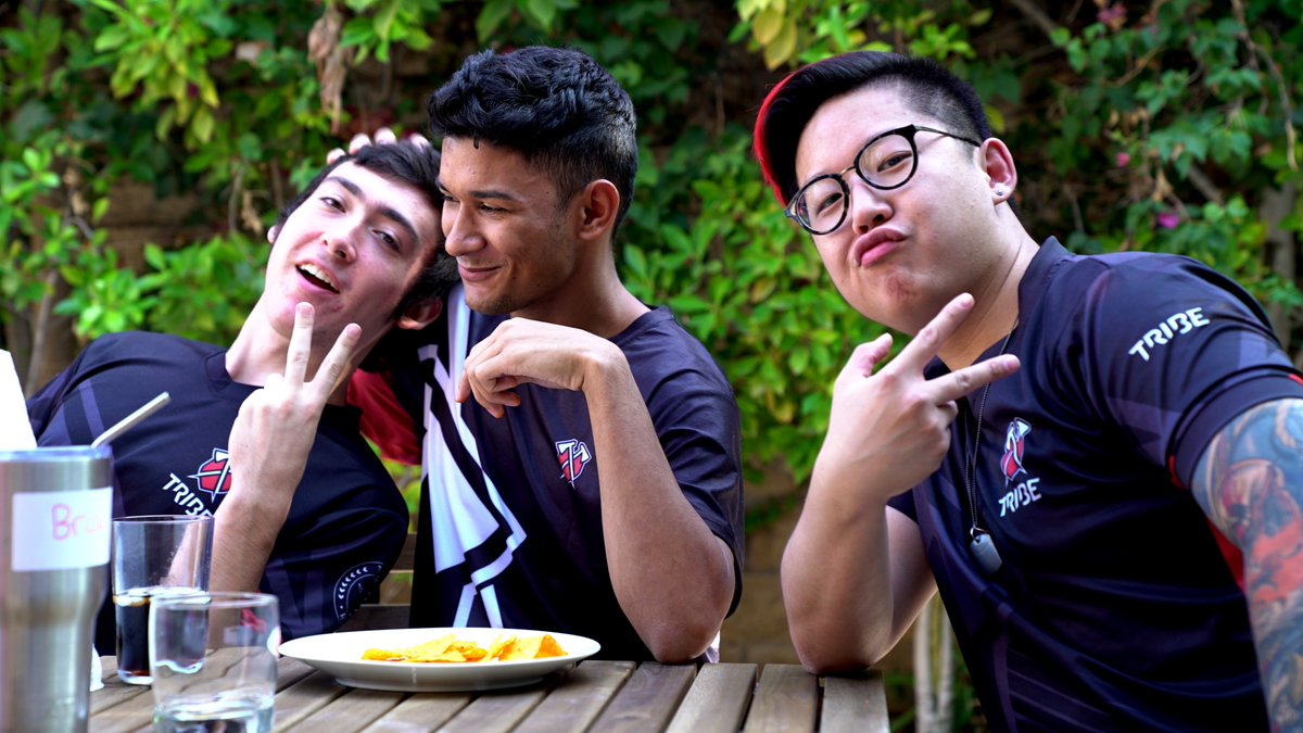 Tribe Gaming tweet media