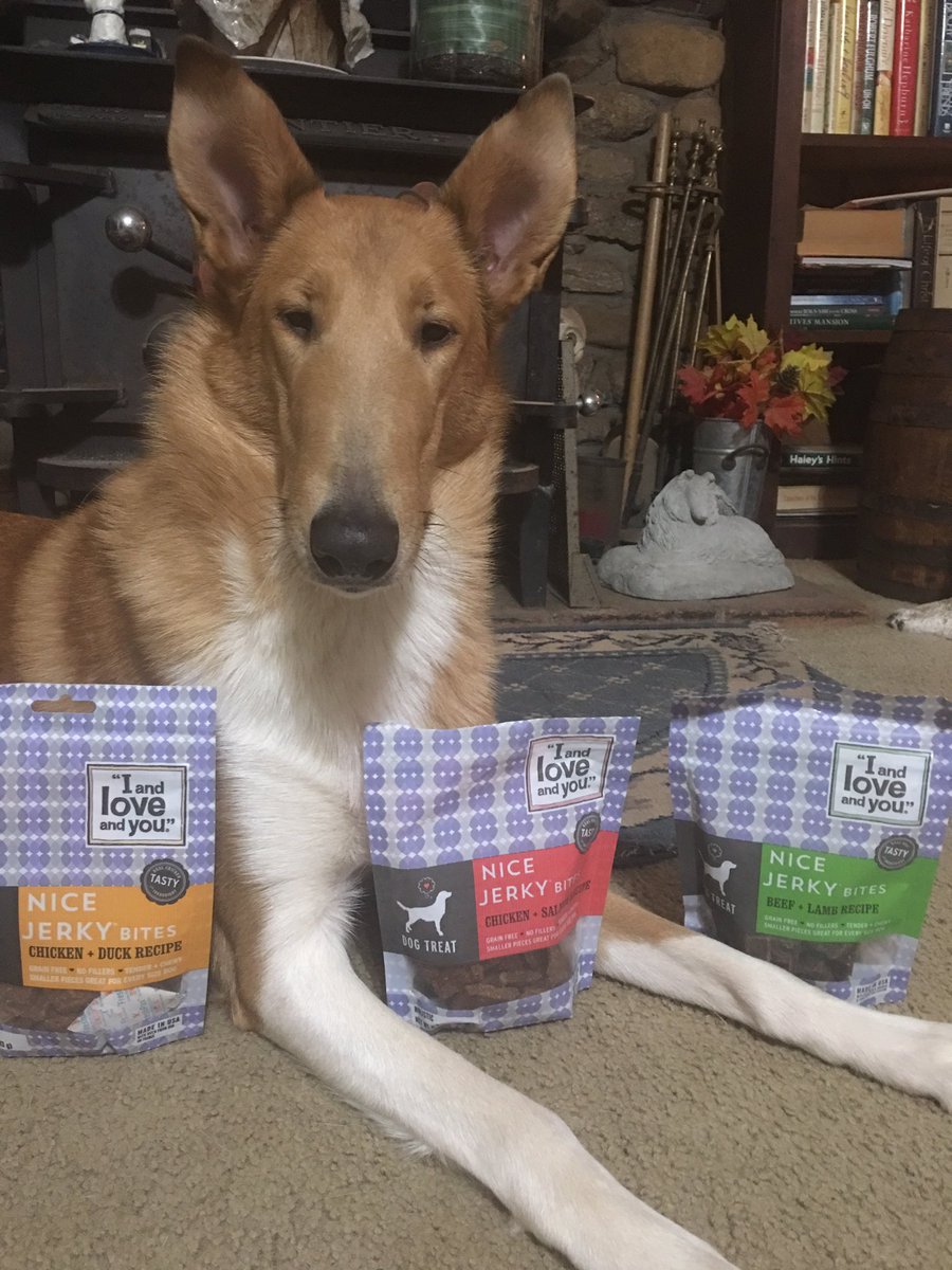 AllThingsCollie's tweet image. All things Collie: I and Love and You...and your dogs will too! collie222.blogspot.com/2018/08/i-and-… #chewyinfluencer #dogsoftwitter #dogblogs #petbloggers #petblog