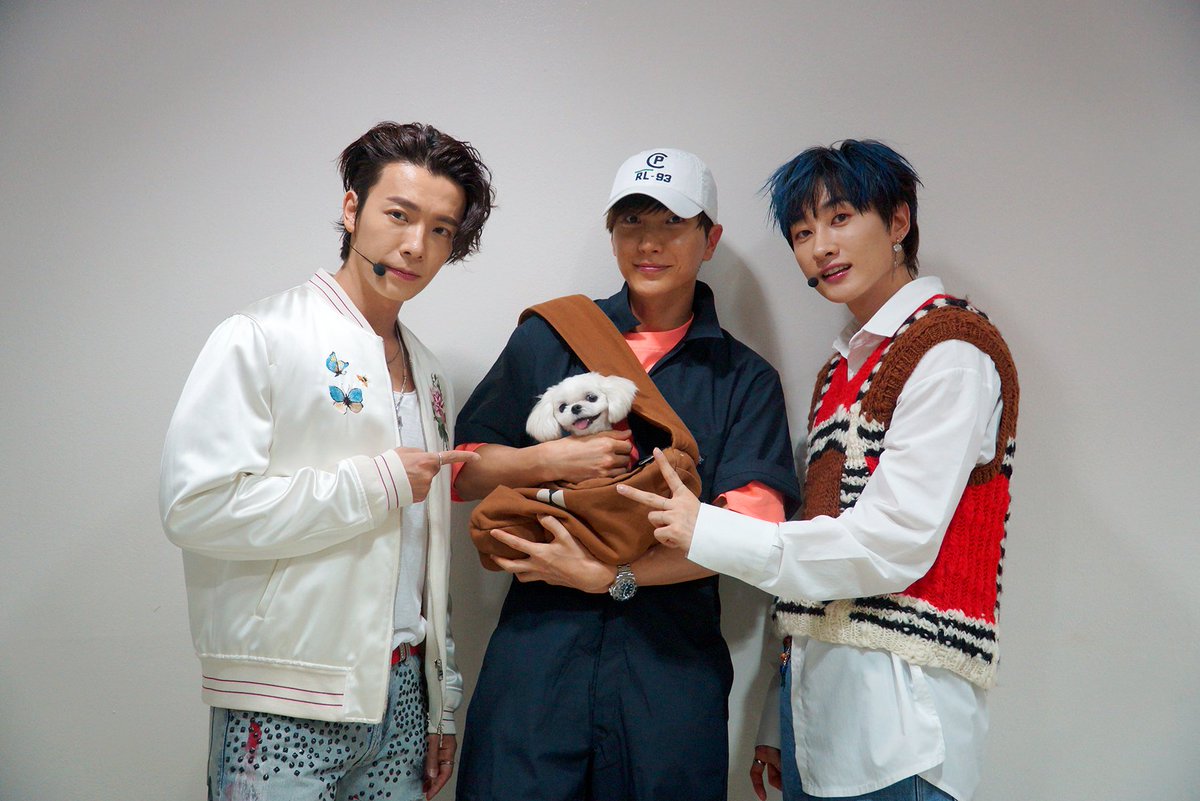 SJofficial's tweet photo. 세계 제일 리더 이특과 심쿵이가 댸니 막방 응원하러 왔어요!
심쿵이도 심쿵💓하는 댸니의 무대가 곧 시작됩니다.😍 
(#3번만에_얻어낸_쿵이의_정면샷📸)

#SuperJuniorDnE #동해 #은혁 #BoutYou #머리부터발끝까지 #SBS #인기가요 
#SUPERJUNIOR #DONGHAE #EUNHYUK #LEETEUK #이특 #LabelSJ https://t.co/IucdACB521