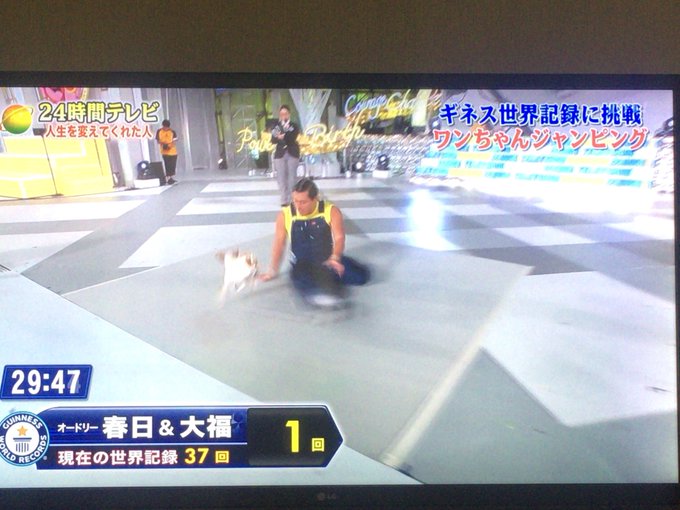 24時間テレビ ギネス挑戦のオードリー春日が犬の大福ちゃんを誤って蹴り飛ばす 大福ちゃんに同情の声 まとめダネ 24時間テレビ ギネス挑戦のオードリー春日が犬の大福ちゃんを誤って蹴り飛ばす 大福ちゃんに同情の声 まとめダネ