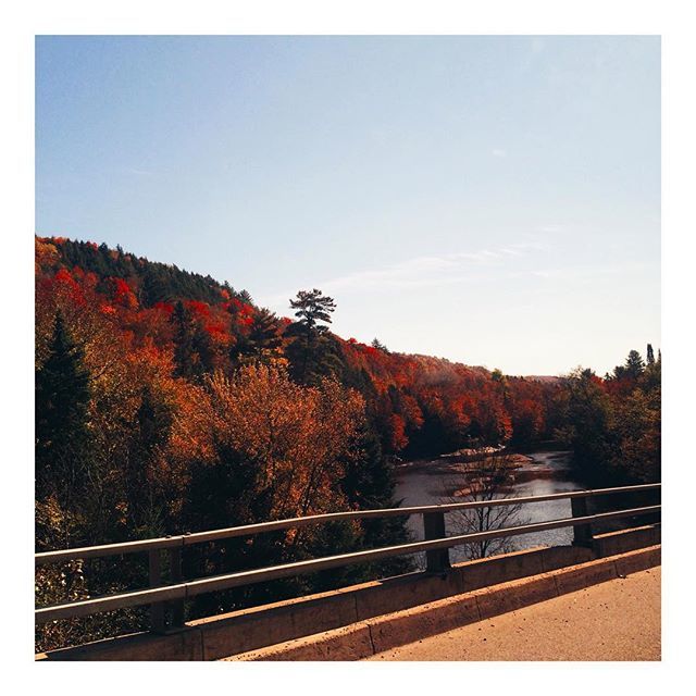 Autumn, it’s been too long. Always my favourite season. 🍂❤️ •
•
•
•
#throwback #mobilephotography #igers #igerscanada #igcanada #igersworldwide #autumn #autumn🍁 #iphoneonly #iphoneography #travelgram #canada🍁 #canada #ig_canada ift.tt/2BPQSKA
