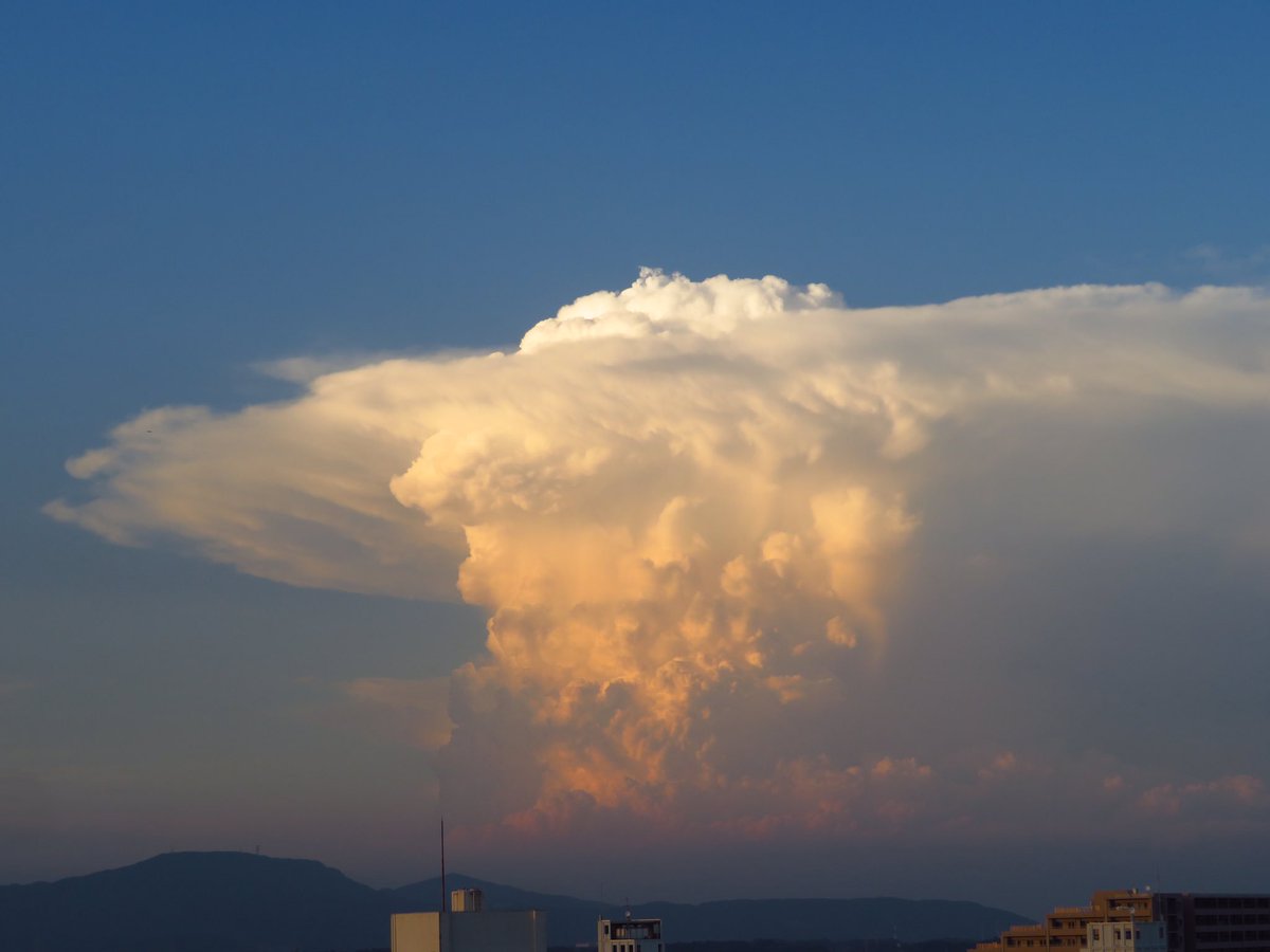 典型的な積乱雲！！ 空高くモクモクと立ち昇った雲は対流圏界面を突破