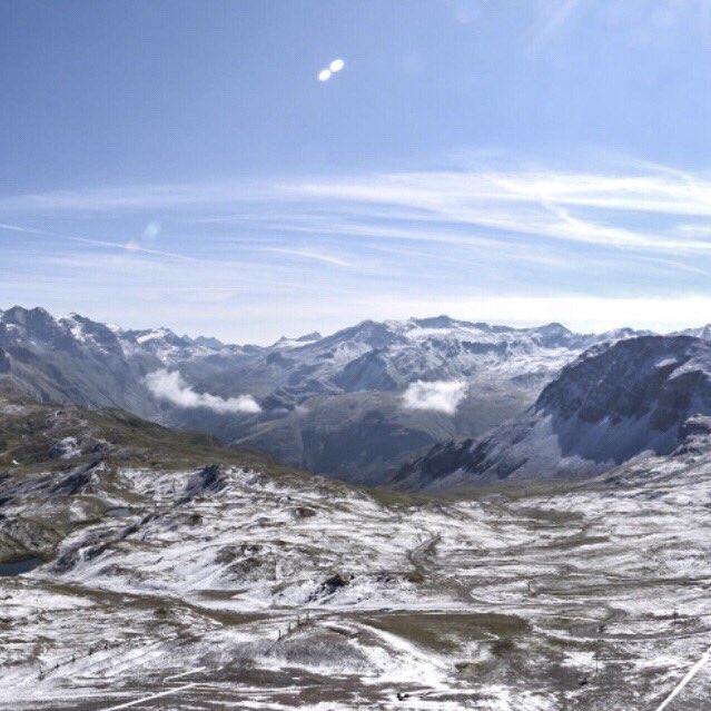 valdisere tweet picture