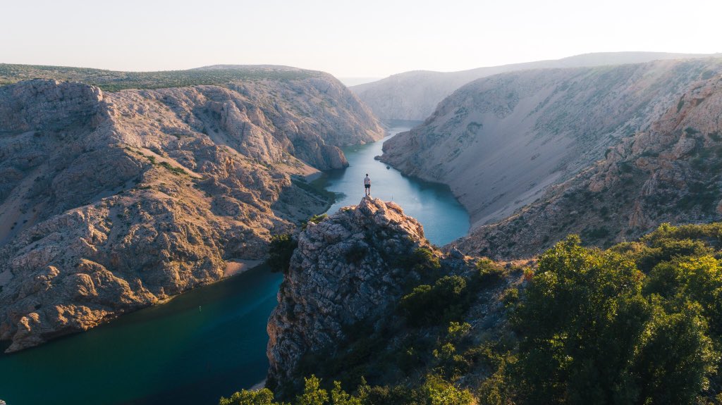 تغذية بصرية 🌎 tweet media