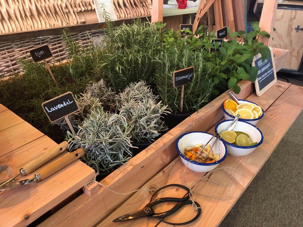 Ben jij een theeliefhebber en heb je je ingeschreven voor het #locatiecongres? Dan kun je je hart ophalen want we hebben gewoon een echte #theetuin! Verzorgd door <a href="/CascaraEvents/">Cascara Events</a> en past helemaal bij de groene locatie setting @De_Batterijen #top #thee #congreslocatie